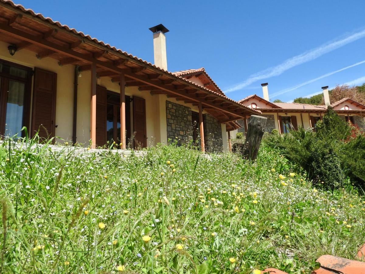 Hotel Agropoli Nimfasía Exteriér fotografie