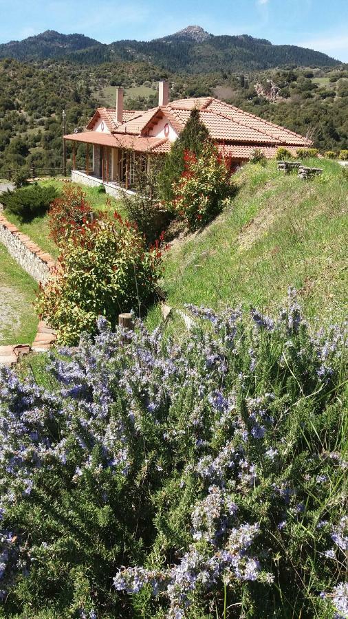 Hotel Agropoli Nimfasía Exteriér fotografie